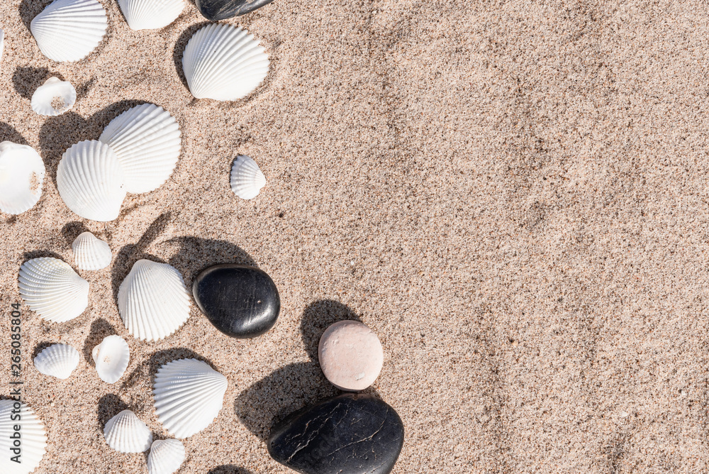 White seashells and pebbles on sea sand - summer travel background, copy space White seashells and pebbles on sea sand - summer travel background, copy space