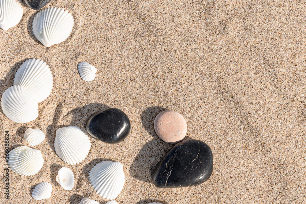 White seashells and pebbles on sea sand - summer travel background, copy space White seashells and pebbles on sea sand - summer travel background, copy space