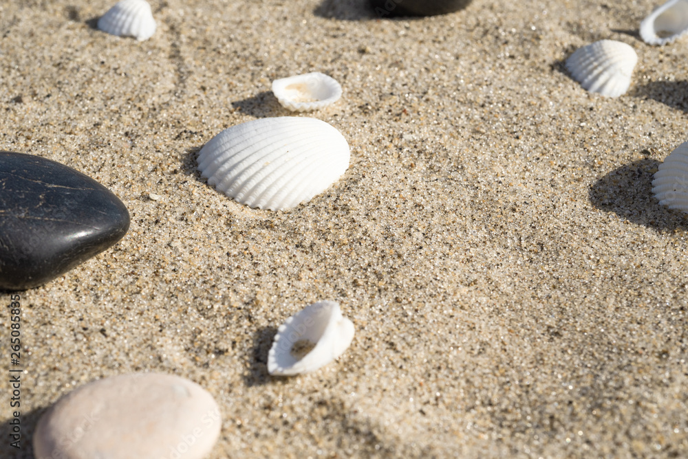Seashells and pebbles on the sand - summer travel background Seashells and pebbles on the sand - summer travel background