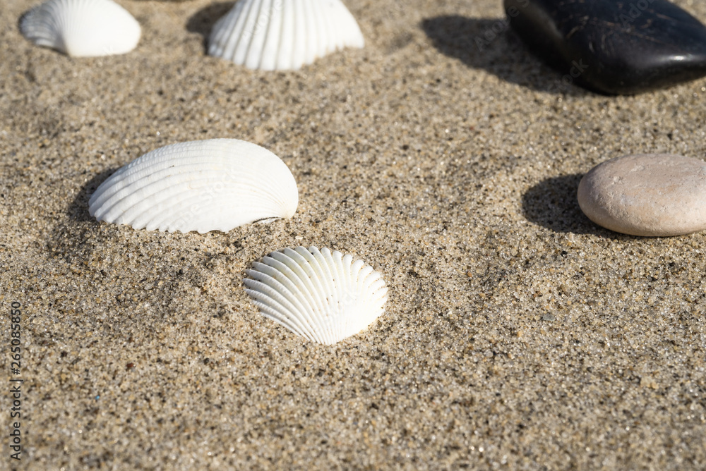 Seashells and pebbles on the sand - summer travel background Seashells and pebbles on the sand - summer travel background