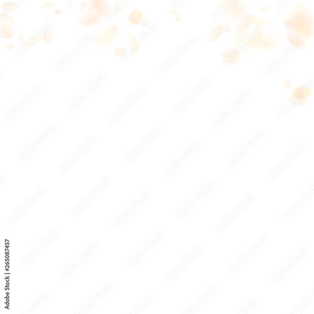 Yellow orange flower petals falling down. Symmetri Yellow orange flower petals falling down. Symmetri