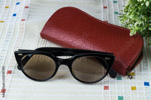 Brille mit Etui photo