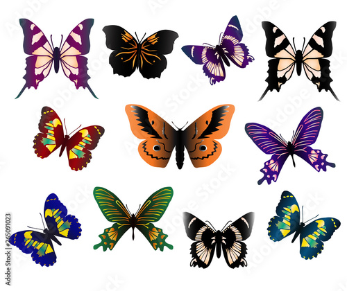 Set of beautiful butterflies, different types, different colors, isolated on white background © Galina