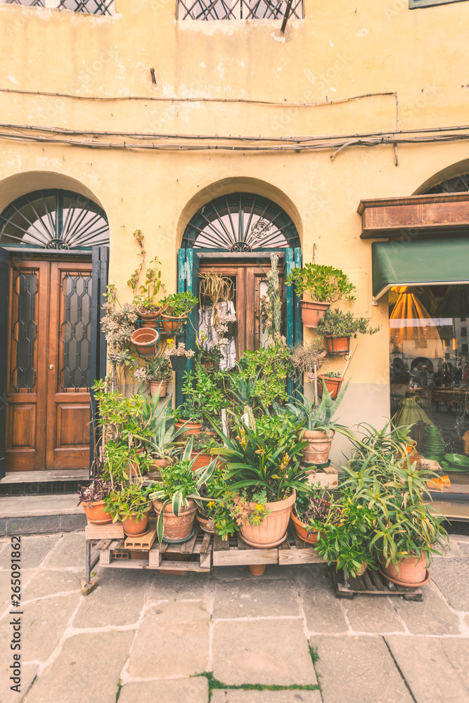 Naklejka premium Picture of Tuscan Houses with plants and flowers.