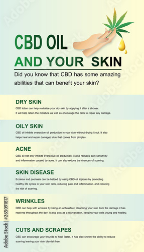 cbd oil and your skin,vector infographic on background.