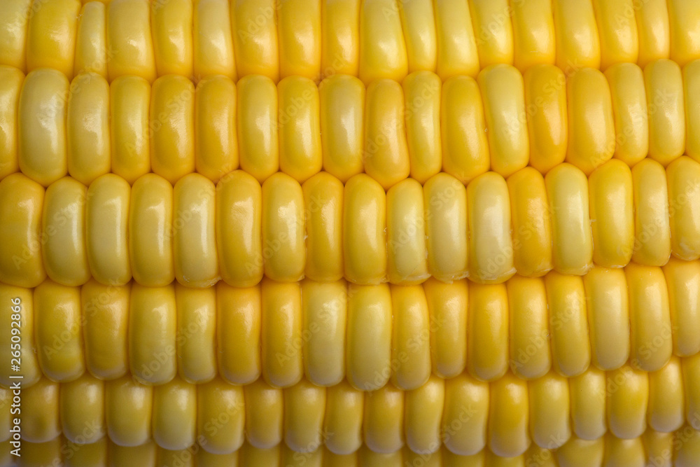 Corn seed pattern for the background. Corn seed pattern for the background.