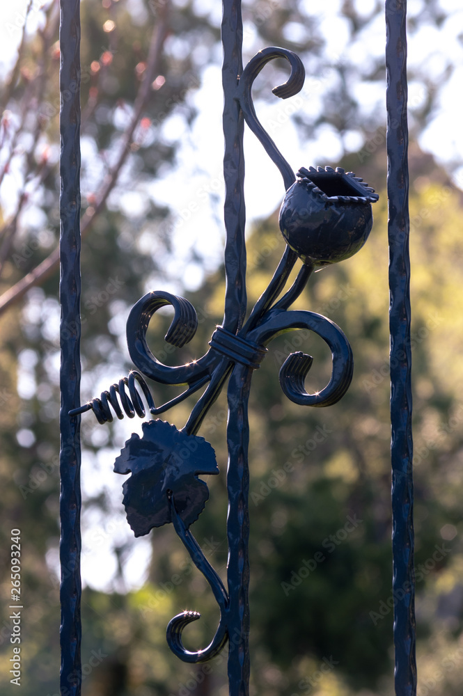 Obraz premium metal ornament depicting a poppy capsule and vine leaf
