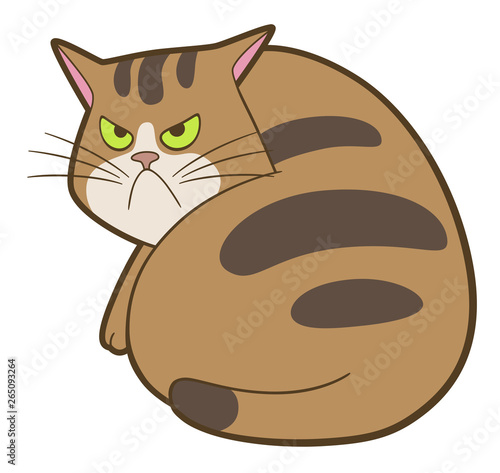 Cartoon cute displeased cat