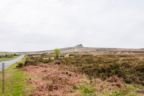 Dartmoor  Devon  Felsen  Hound Tor  Heidelandschaft  Moor  Wanderweg  Fr  hling  S  dengland