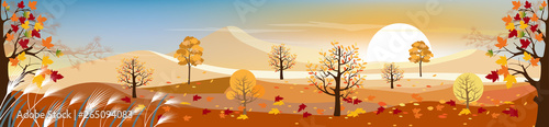 Panorama landscape of Countryside with sunny day in autumn  Panoramic of mid autumn with farm field  mountains  wild grass and maple leaves falling from trees