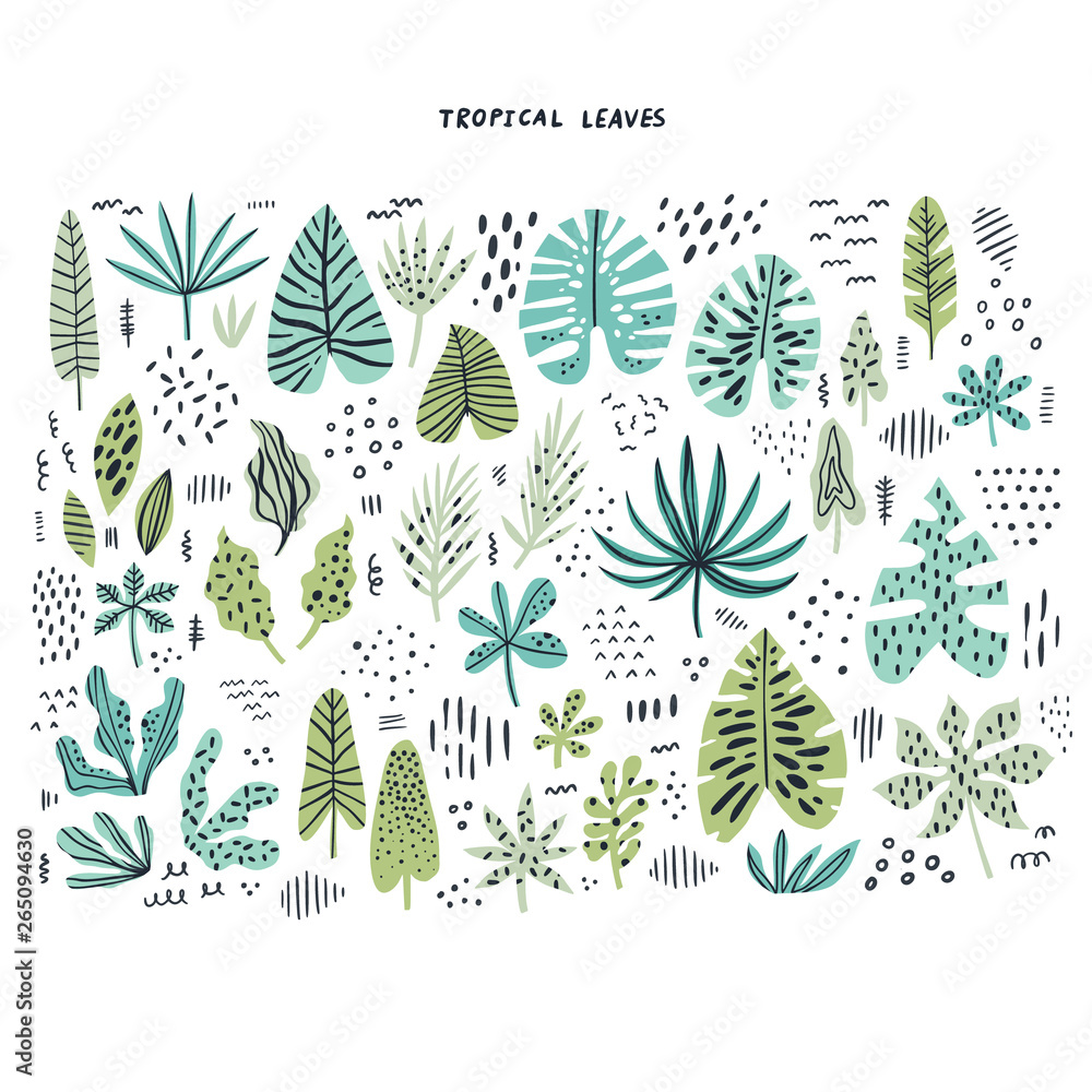 Tropical leaves hand drawn flat illustrations set