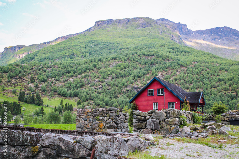 A house in the country and freshly mown lawn and tree in a peaceful garden. Flam (Flåm) valley, Norway