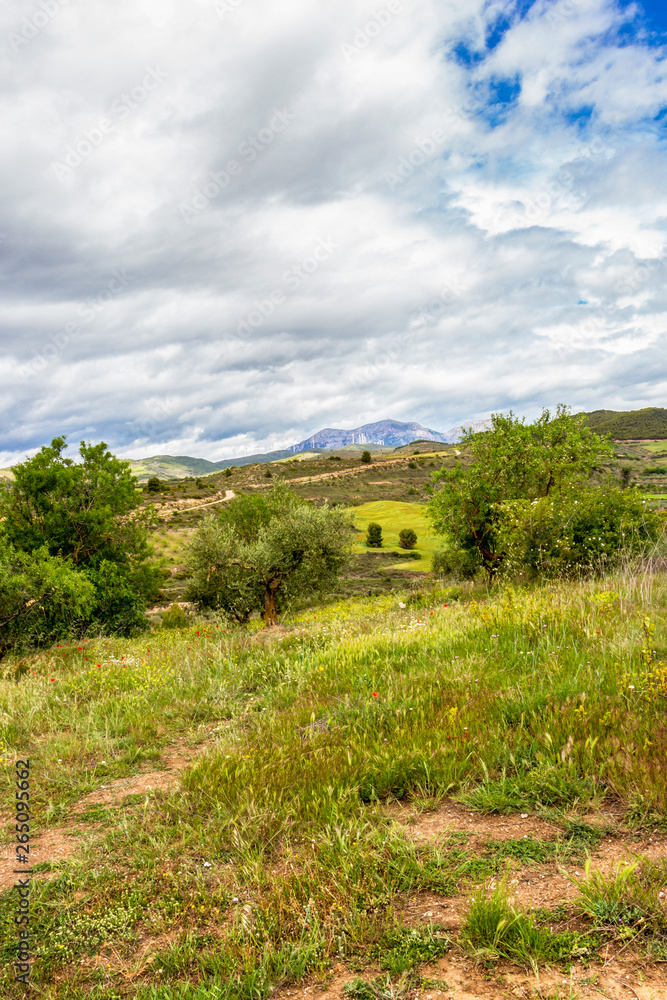 Scenic May landscape on the Camino de Santiago, Way of St. James between Torres del Rio and Viana in Navarre, Spain