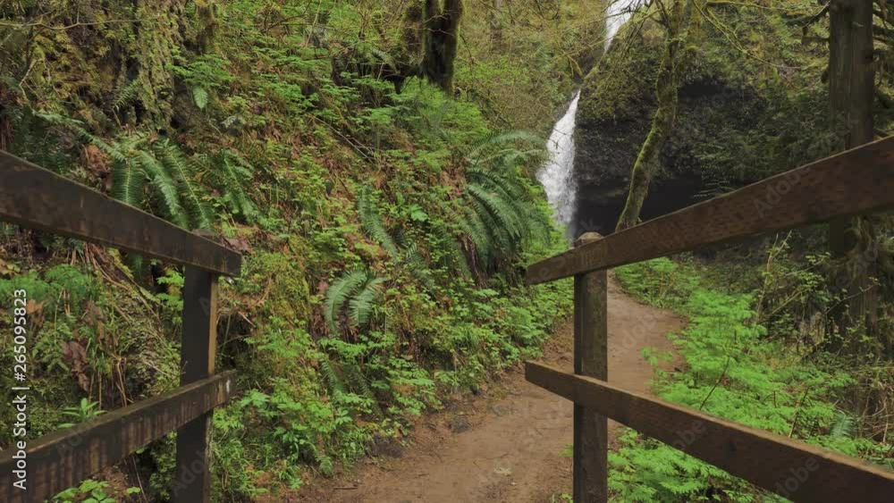 Hiking bridge path towards waterfall in background in lush green forest Latourell Falls in Oregon Hiking bridge path towards waterfall in background in lush green forest Latourell Falls in Oregon