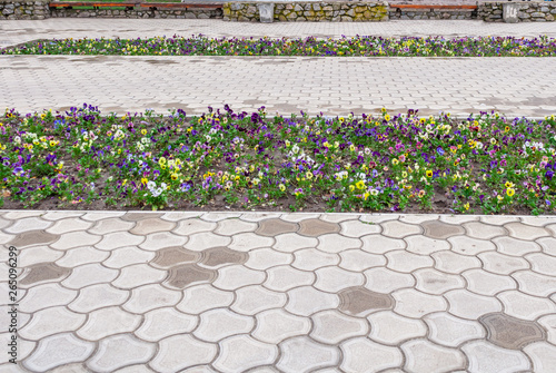 Flowerbed in the park among the pavement paths