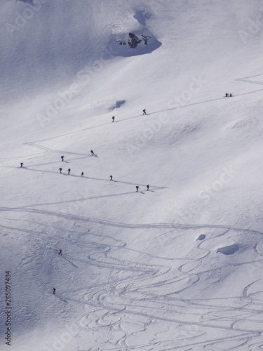 Bild auf Leinwand Skitourengehen Skitourengänger in den Alpen auf dem Weg zum Berggipfel