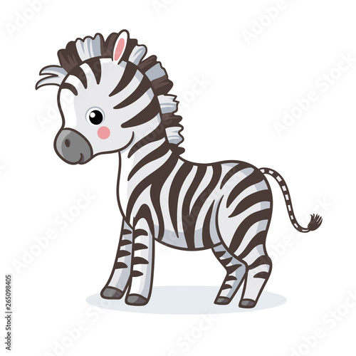 Zebra is standing on a white background and smiling.