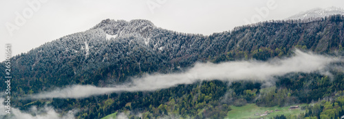 panorama mountain landscape with fresh snow and foggy clouds over the forest photo
