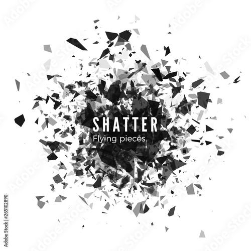 Shatter and destruction effect. Abstract cloud of pieces and fragments after explosion. Vector illustration isolated on white background photo