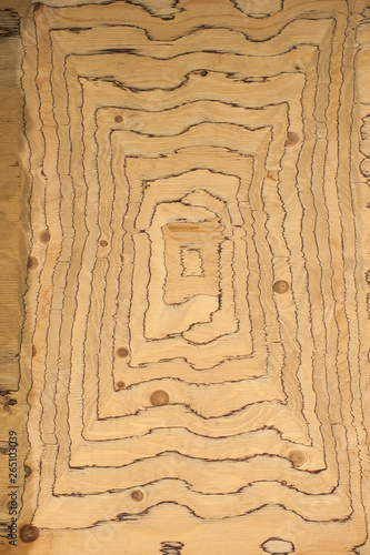 wood texture