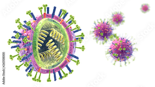 Flu. Influenza viruses with RNA, surface proteins hemagglutinin and neuraminidase,  medically 3D illustration photo