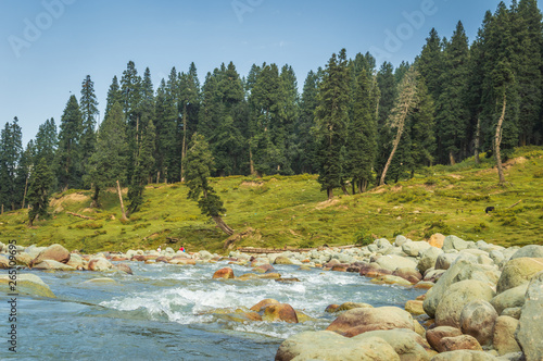 A vast field of round boulders of a river bed in a landscape in Doodhpathri, Kashmir. Clear blue water flowing in the sream