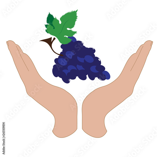 Vector silhouette of a hand in a defensive gesture protecting a grapes. Symbol of fruit, food, agriculture, protection, fresh, vegan, vegetarian, frutarian.