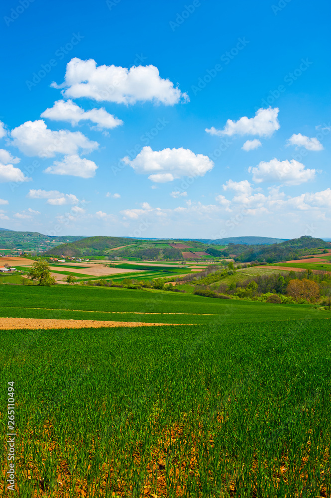 Field and green mountains view at sunny day Field and green mountains view at sunny day