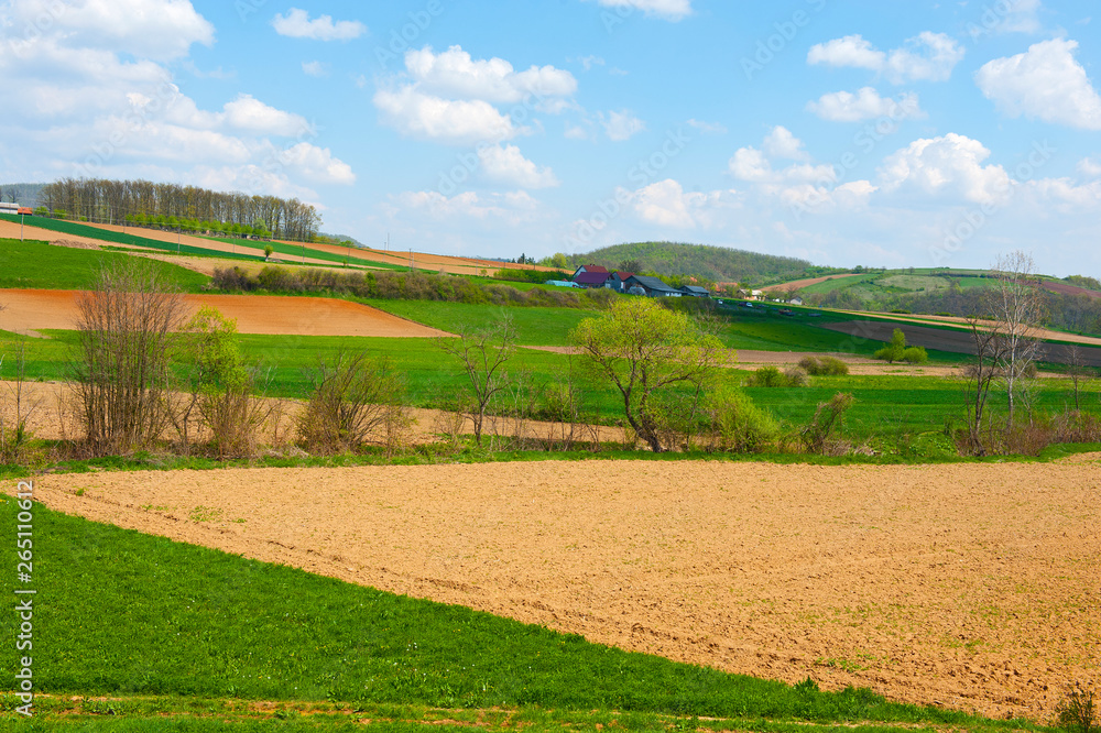 Field and green mountains view at sunny day