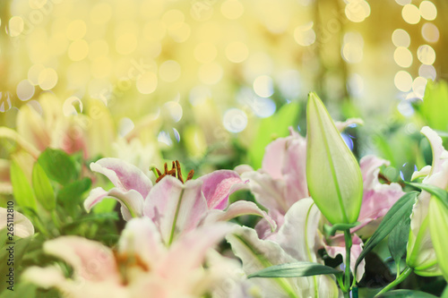 Beautiful of colorful tulip flowers bouquet on field in green garden background.