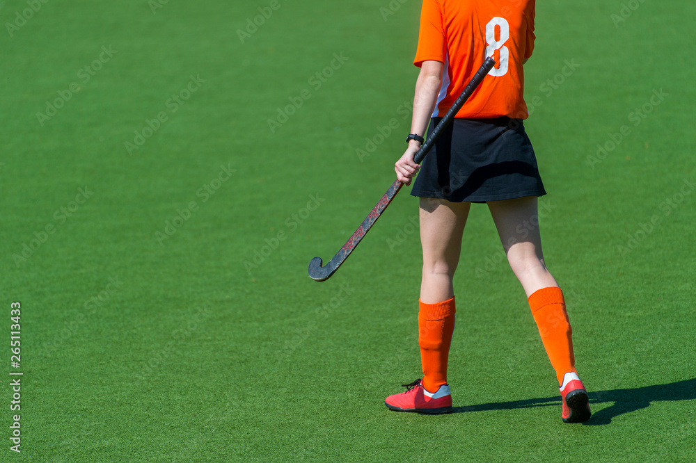 Obraz premium A beautiful young woman field hockey player