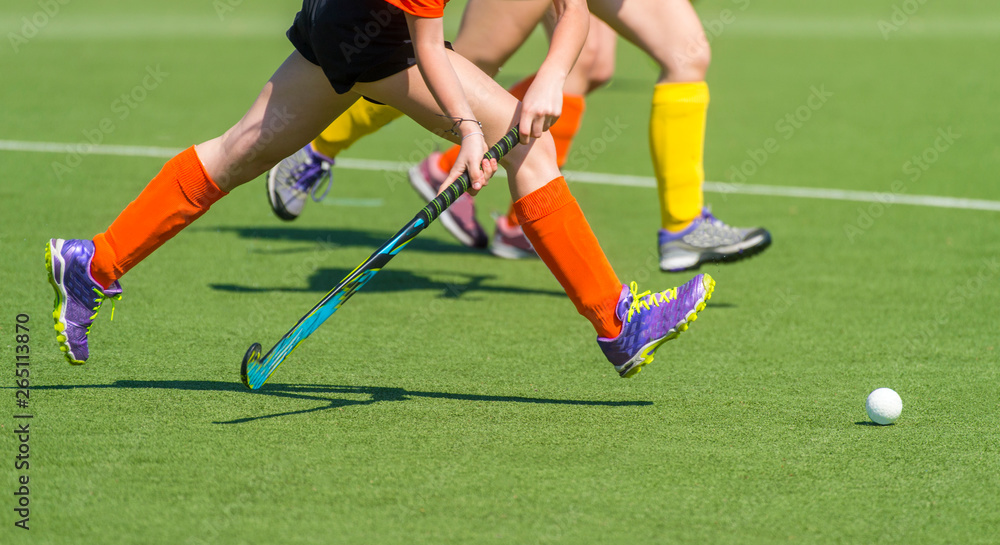 Two women battle for control of ball during field hockey game Two women battle for control of ball during field hockey game