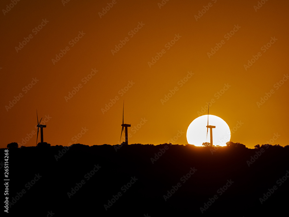 Summer sunset with the sun disk behind the wind generators
