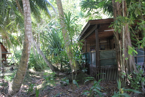 North island seychelles beach Indian Ocean palms © Sebastian