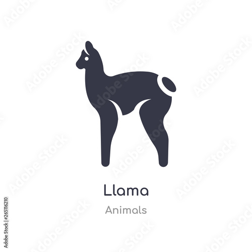 llama icon. isolated llama icon vector illustration from animals collection. editable sing symbol can be use for web site and mobile app