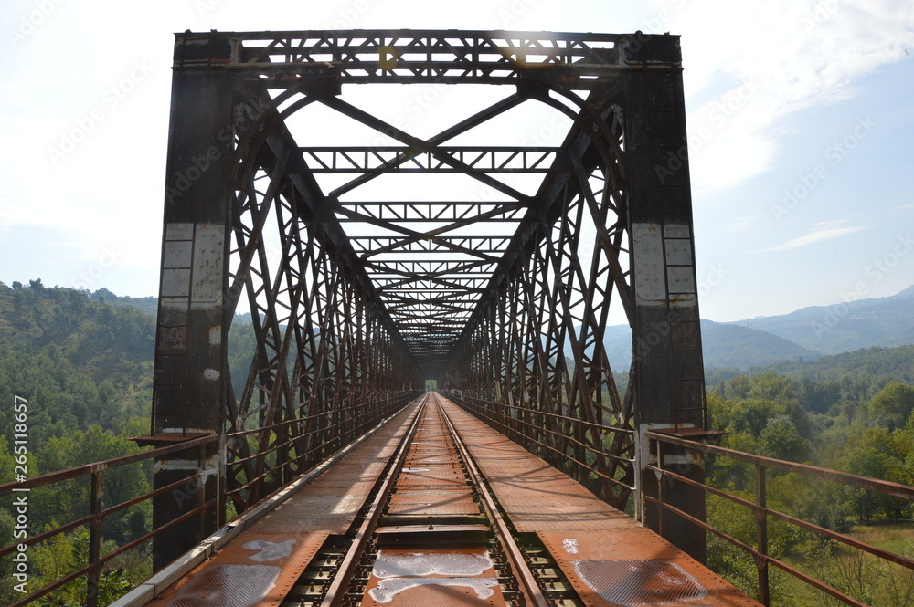 Iron railroad bridge