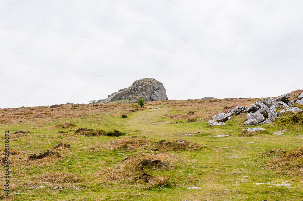 Dartmoor, Devon, Hound Tor, Felsen, Wanderweg, Heidelandschaft, Moor, Ginster, Frühling, Südengland