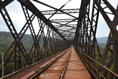 Iron railroad bridge