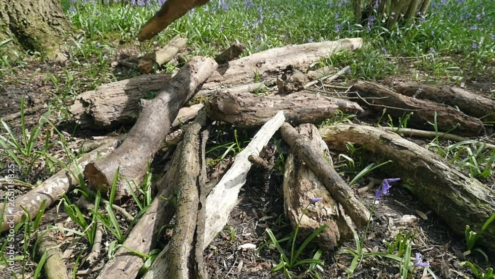 Large Log Is Thrown Onto A Wood Pile In Slow Motion Large Log Is Thrown Onto A Wood Pile In Slow Motion