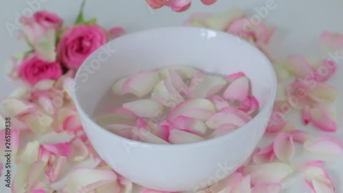 beautiful female hand throws rose petals in a container with water