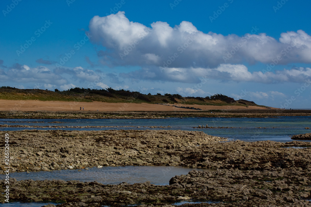 Fototapeta premium sea and sky