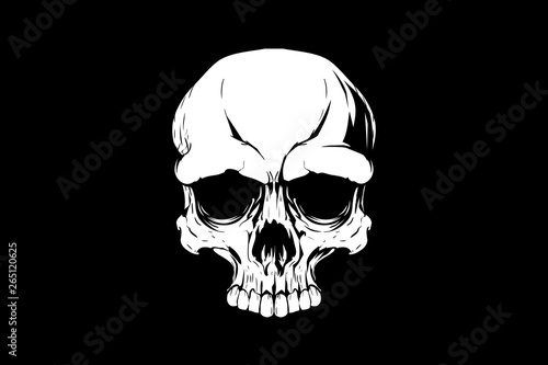 human skull head vector design