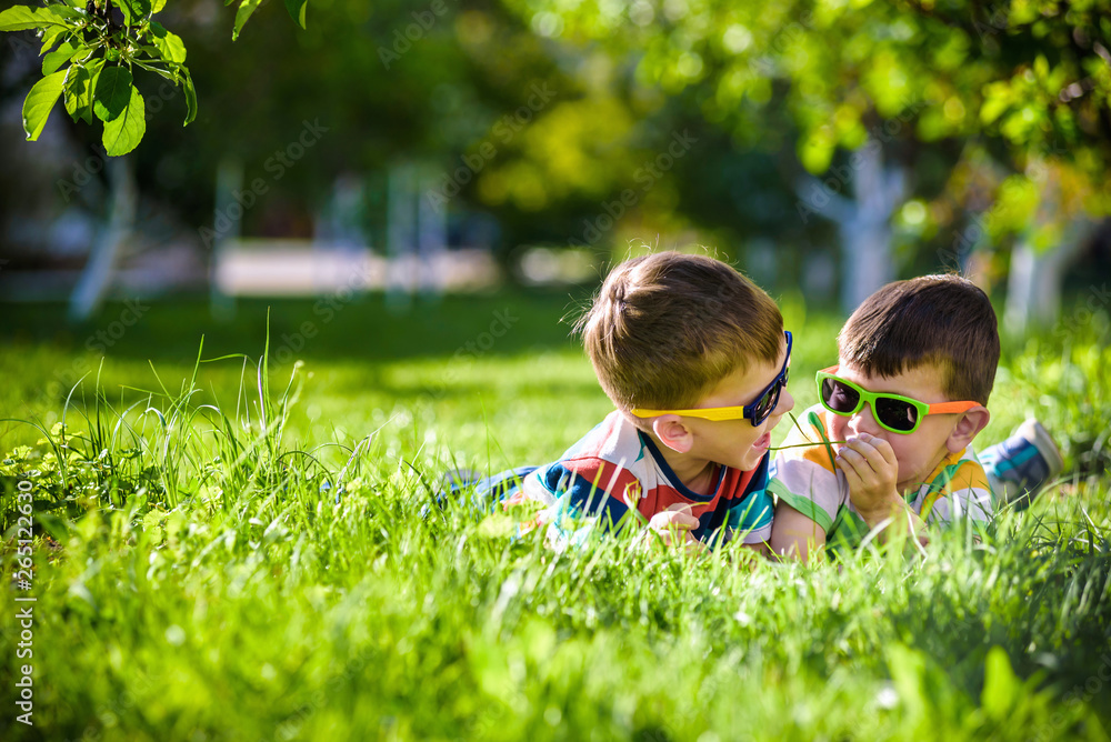 Fototapeta premium Happy smiling boy sibling brother relaxing on the grass. Close up view with copy space.