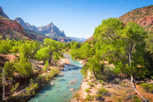 Zion National Park scenery with The Watchman peak and Virgin river in summer, Utah, USA
