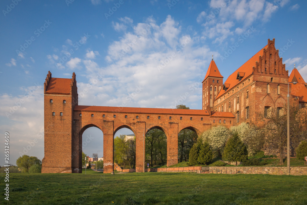 Fototapeta premium Castle in Kwidzyn in the spring, Pomorskie, Poland