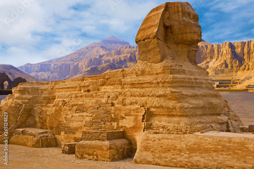 View of the sphinx Egypt  the giza plateau in the sahara desert 