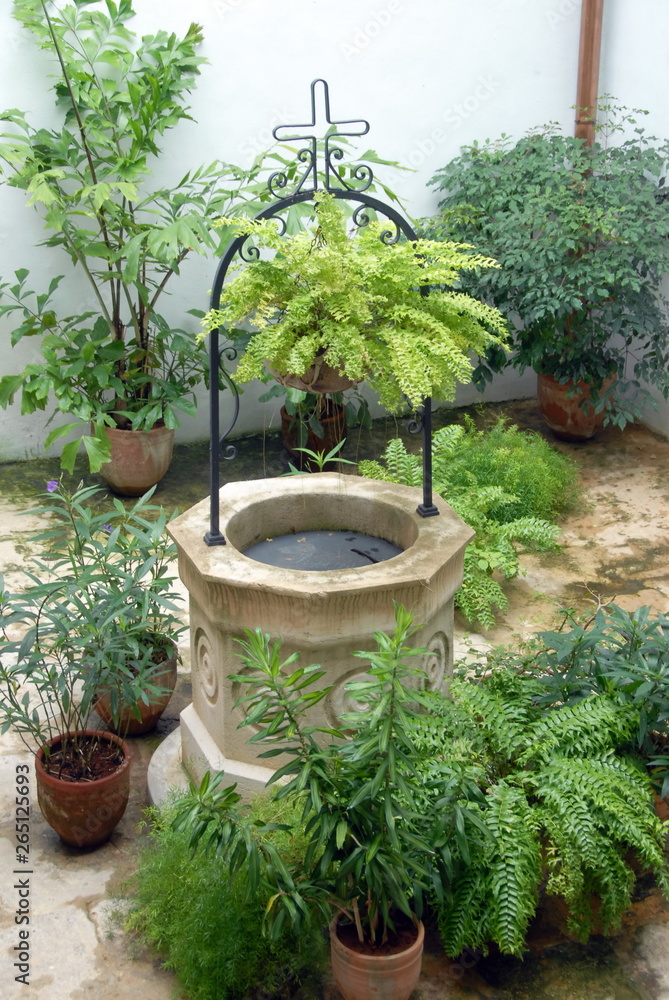 Obraz premium Ville de La Havane, puit en pierre entouré de plantes verte, cour intérieure, Cuba, Caraïbes