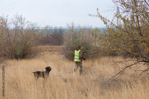 Hunter with a german drathaar and spaniel, pigeon hunting with dogs in reflective vests  © Mountains Hunter