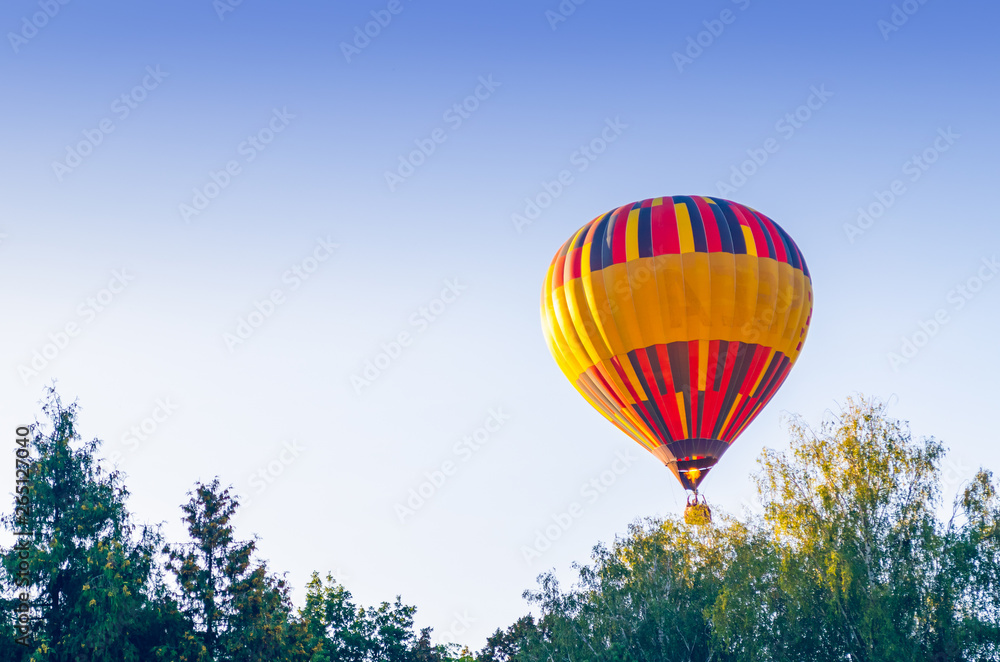 Fototapeta premium Colorful hot air balloon is flying in the blue sky above the trees