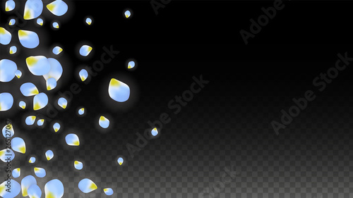 Vector Realistic Blue Petals Falling on Transparent Background.  Spring Romantic Flowers Illustration. Flying Petals. Sakura Spa Design. Blossom Confetti.